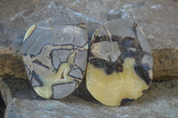 Polished Septaria (Calcite & Aragonite) Slices  x 12 From Madagascar