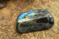 Polished Labradorite Standing Free Forms With Intense Blue & Gold Flash x 3 From Tulear, Madagascar - TopRock