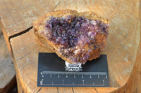 Natural Dark "Amethystos" Amethyst Clusters  x 12 From Kwaggafontein, South Africa - TopRock