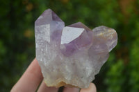 Natural Jacaranda Amethyst Clusters  x 3 From Mumbwa, Zambia - Toprock Gemstones and Minerals 