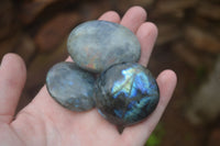 Polished Mixed Labradorite Items  x 14 From Madagascar - Toprock Gemstones and Minerals 