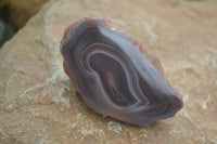 Polished Banded River Agate Nodules  x 6 From Sashe River, Zimbabwe - Toprock Gemstones and Minerals 