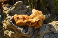 Natural Golden Limonite / Lemonite Quartz Clusters  x 6 From Mwinilunga, Zambia - TopRock