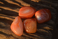 Polished  Carnelian Agate Tumble Stones  x 1 Kg Lot From Madagascar