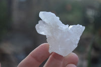 Natural Single Clear Quartz Crystals x 35 From Mpika, Zambia