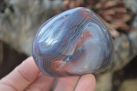 Polished River Agate Nodules  x 6 From Sashe River, Zimbabwe