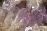 Natural Jacaranda Amethyst Vug Cluster  x 1 From Zambia - TopRock