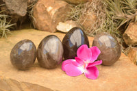 Polished Large Morion Smokey Quartz Eggs x 4 From Madagascar - TopRock