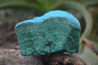 Natural Blue Chrysocolla On Silky Malachite Matrix Specimens  x 6 From Kulukuluku, Congo - Toprock Gemstones and Minerals 