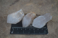 Natural Single Pineapple Candle Quartz Crystals  x 35 From Antsirabe, Madagascar - Toprock Gemstones and Minerals 