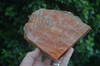 Natural New Sunset Orange Calcite Cubic Specimens  x 3 From Spitzkop, Namibia - Toprock Gemstones and Minerals 