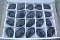 Polished Schorl Black Tourmaline Palm Stones  x 20 From Madagascar - Toprock Gemstones and Minerals 