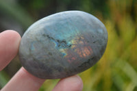 Polished Mixed Labradorite Items  x 14 From Madagascar - Toprock Gemstones and Minerals 