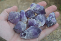 Natural Single Amethyst Crystals  x 35 From Zambia - Toprock Gemstones and Minerals 