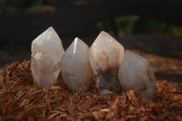 Natural Single Pineapple Candle Quartz Crystals  x 35 From Antsirabe, Madagascar - Toprock Gemstones and Minerals 