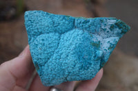 Natural Blue Chrysocolla On Silky Malachite Matrix Specimens  x 6 From Kulukuluku, Congo - Toprock Gemstones and Minerals 