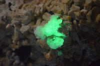 Natural Large Fluorescent Hyalite Opal Specimen  x 1 From Erongo, Namibia