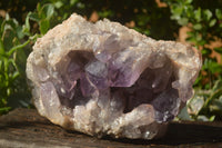 Natural Jacaranda Amethyst Vug Cluster  x 1 From Zambia - TopRock