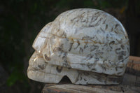 Polished Extra Large Tiger Quartz In Feldspar Skull Carving  x 1 From Madagascar - Toprock Gemstones and Minerals 