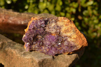 Natural Dark "Amethystos" Amethyst Clusters  x 12 From Kwaggafontein, South Africa - TopRock