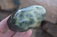 Polished Spotted Leopard Stone Standing Free Forms  x 6 From Zimbabwe - Toprock Gemstones and Minerals 