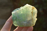 Natural Cobbed & Stone Sealed Watermelon Fluorite Pieces x 12 From Uis, Namibia - TopRock