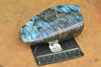 Polished Labradorite Standing Free Forms With Intense Blue & Gold Flash x 3 From Tulear, Madagascar - TopRock