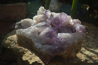 Natural Jacaranda Amethyst Cluster x 1 From Mumbwa, Zambia - TopRock