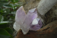 Natural Jacaranda Amethyst Clusters  x 3 From Mumbwa, Zambia - Toprock Gemstones and Minerals 