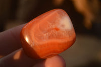 Polished  Carnelian Agate Tumble Stones  x 1 Kg Lot From Madagascar