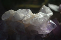 Natural Jacaranda Amethyst Cluster x 1 From Mumbwa, Zambia - TopRock