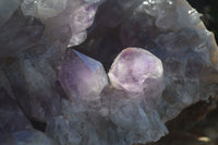 Natural Jacaranda Amethyst Cluster x 1 From Mumbwa, Zambia - TopRock