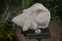 Natural Large Pineapple Candle Quartz Crystals  x 2 From Madagascar - Toprock Gemstones and Minerals 