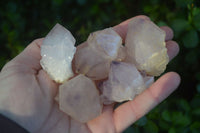 Natural Spirit Quartz Small Cluster or Crystal Specimens x 35 From Boekenhouthoek, South Africa - Toprock Gemstones and Minerals 