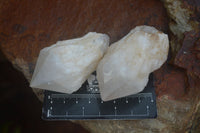 Natural Highly Selected Pineapple Candle Quartz Crystals  x 12 From Madagascar - Toprock Gemstones and Minerals 