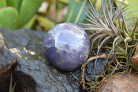 Polished Specular Purple Mica Lepidolite Spheres  x 4 From Madagascar - TopRock