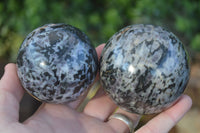 Polished Merlinite Gabbro Spheres  x 4 From Madagascar - Toprock Gemstones and Minerals 