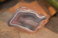 Polished Red Sashe River Agate Nodules x 12 From Sashe River, Zimbabwe