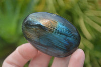 Polished Mixed Labradorite Items  x 14 From Madagascar - Toprock Gemstones and Minerals 