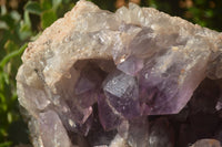 Natural Jacaranda Amethyst Vug Cluster  x 1 From Zambia - TopRock