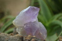 Natural Jacaranda Amethyst Clusters  x 3 From Mumbwa, Zambia - Toprock Gemstones and Minerals 