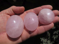 Polished Highly Selected Rose Quartz Palm Stones / Gallets - sold per kg - From Antsirabe, Madagascar - TopRock