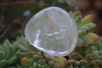 Polished Optic Rock Crystal Quartz Galet / Palm Stones x 12 From Madagascar