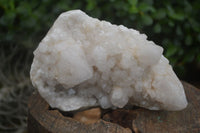 Natural Large Pineapple Candle Quartz Crystals  x 2 From Madagascar - Toprock Gemstones and Minerals 