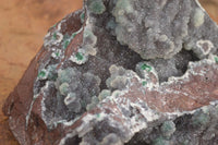 Natural Drusy Coated Ball Malachite On Dolomite Specimen  x 1 From Likasi, Congo