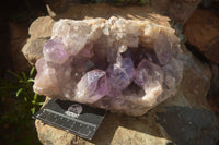 Natural Jacaranda Amethyst Vug Cluster  x 1 From Zambia - TopRock