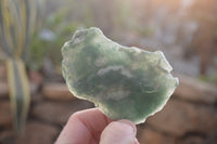 Polished One Side Polished Emerald Mtorolite Plates  x 12 From Mutorashanga, Zimbabwe