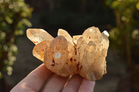 Natural Stunning Mixed Selection Of Quartz Specimens  x 12 From Africa - TopRock