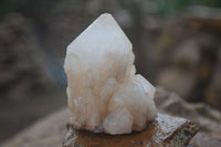 Natural Highly Selected Pineapple Candle Quartz Crystals  x 12 From Madagascar - Toprock Gemstones and Minerals 