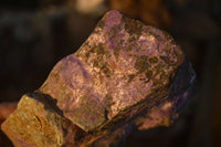 Natural Large Stichtite & Serpentine Cobbed Specimens x 2 From Barberton, South Africa